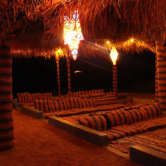 Отель Freedom Camp