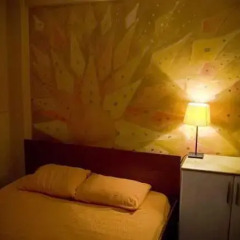 Stray Cat Hostel Стандартный номер разные типы кроватей фото 10