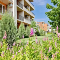Апартаменты Oxygen Apartments Свети Влас фото 7