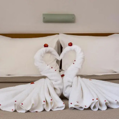 Отель Asterias Village Resort Апартаменты с различными типами кроватей фото 8