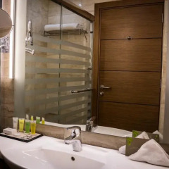 Olive Tree Hotel Amman 4* Номер Делюкс с различными типами кроватей фото 3
