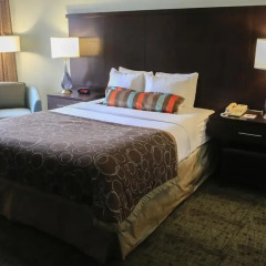 Отель Staybridge Suites Silicon Valley 3* Студия с различными типами кроватей фото 2