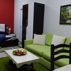 Апартаменты Apartment Shoshi Студия фото 25