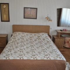 Гостиница Спутник 2* Стандартный номер разные типы кроватей фото 29