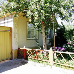 Отель Home Stay in Karakol Кыргызстан, Каракол - отзывы, цены и фото номеров - забронировать отель Home Stay in Karakol онлайн фото 2