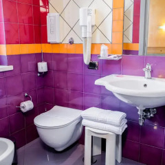 Hotel Diana 3* Стандартный номер с различными типами кроватей фото 6