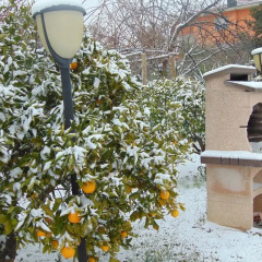 Отель Casa Vacanze I Limoni Сарцана