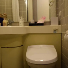 Asakusa Central Hotel 3* Стандартный номер с двуспальной кроватью фото 14