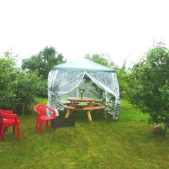 Отель Holiday House Niedras Jurmala фото 9