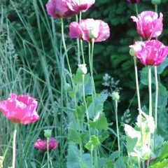Отель Kasteel Sterkenburg фото 8