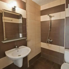 Nushev Hotel ванная