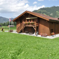 Отель Chalet Weidhaus Ferienwohnung & Zimmer Стандартный номер с различными типами кроватей фото 5