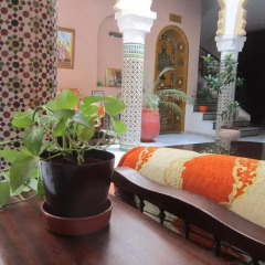 Отель Riad Dar Alia Марокко, Рабат - отзывы, цены и фото номеров - забронировать отель Riad Dar Alia онлайн фото 3