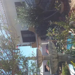 Отель Bela Alexandra Guest House