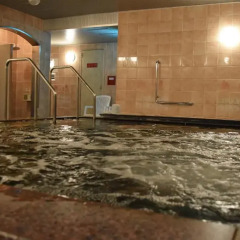 Asakusa Central Hotel 3* Стандартный номер с различными типами кроватей фото 14