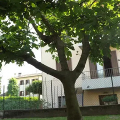 Отель B&B Gallo Италия, Лимена - отзывы, цены и фото номеров - забронировать отель B&B Gallo онлайн фото 5