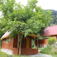 Ayder Selale Dag Evi Коттедж с различными типами кроватей фото 2