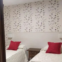 Отель Hostal San Roque Номер Комфорт с разными типами кроватей фото 6