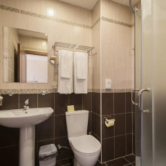 Бутик-отель Ахиллеон Парк 4* Номер Эконом разные типы кроватей фото 4