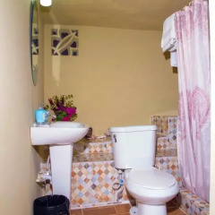 Отель Ackee Tree Sea View Villa ванная