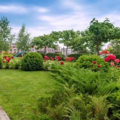 Апартаменты Oxygen Apartments Свети Влас фото 9