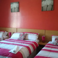 Tulip Hotel 3* Стандартный номер с 2 отдельными кроватями фото 2