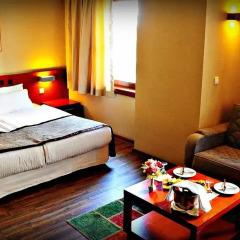 Feronya Hotel 4* Стандартный номер с различными типами кроватей фото 4