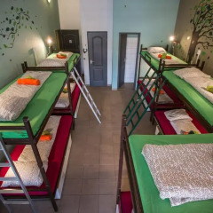 Island Hostel Adults only Кровать в общем номере фото 10