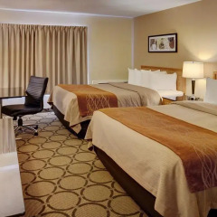 Отель Comfort Inn Brossard 2* Стандартный номер с различными типами кроватей фото 5