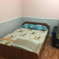 Hostel Zeleniy Dom сауна