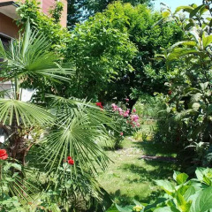 Отель B&B D'Èco Milano Италия, Милан - отзывы, цены и фото номеров - забронировать отель B&B D'Èco Milano онлайн фото 3