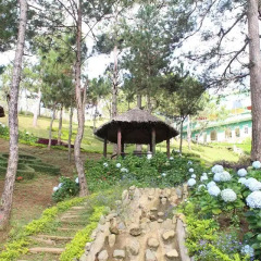 Отель Rừng Hoa Đà Lạt 2* Стандартный номер фото 7