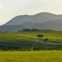Отель Sa Perafita - Celler Martín Faixó Испания, Курорт Росес - отзывы, цены и фото номеров - забронировать отель Sa Perafita - Celler Martín Faixó онлайн фото 4