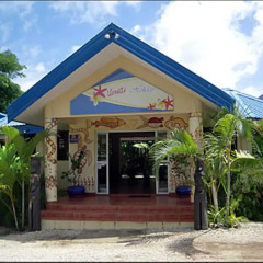 Vanuatu Holiday Hotel гостиничный бар