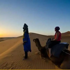 Отель Bivouac Morocco Safari Tours Марокко, Мерзуга - отзывы, цены и фото номеров - забронировать отель Bivouac Morocco Safari Tours онлайн приотельная территория фото 2