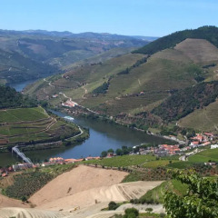 Отель Casa da Bela Vista