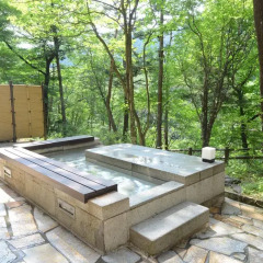 Hotel Harvest Kinugawa Никко спа фото 2
