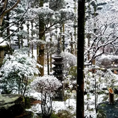 Отель Beppu Showaen Беппу фото 9