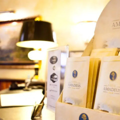 Amadeus Hotel интерьер отеля фото 2