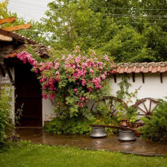 Отель Chiflik Elena Guest House Болгария, Шумен - отзывы, цены и фото номеров - забронировать отель Chiflik Elena Guest House онлайн фото 4