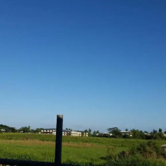 Отель Westfield Homestay Fiji Вити-Леву фото 4