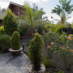 Отель El Rincón del Huroncillo фото 5