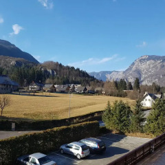Отель Gasperin Bohinj 3* Стандартный номер с различными типами кроватей фото 12