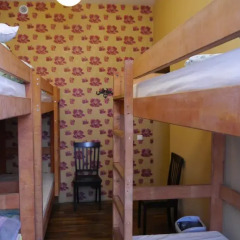 Center Stay Hostel Стандартный семейный номер с двуспальной кроватью фото 8