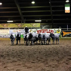 Отель Cowboys Guest Ranch Вогера помещение для мероприятий