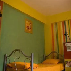 Stray Cat Hostel Кровать в женском общем номере двухъярусные кровати фото 6