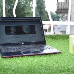 Гостиница Localhostel с домашними животными