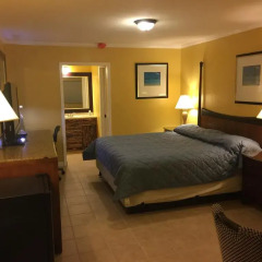 Отель Dragon Inn & Suites 2* Номер Делюкс с различными типами кроватей