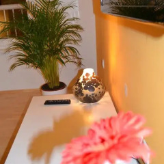 Апартаменты Sky Apartments Zagreb фото 3