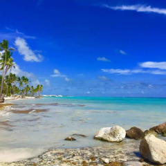 Отель Grand Palladium Bavaro Suites, Resort & Spa - Все включено Доминикана, Пунта Кана - отзывы, цены и фото номеров - забронировать отель Grand Palladium Bavaro Suites, Resort & Spa - Все включено онлайн пляж фото 2
